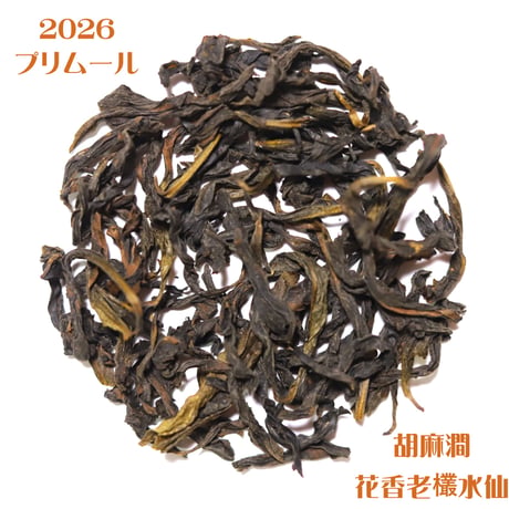 高級正岩茶 2026年 プリムール新茶セット