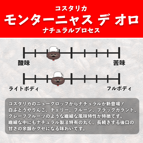 【浅煎り】コスタリカ モンターニャス デ オロ ナチュラル (150g)