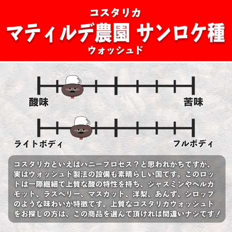 【浅煎り】コスタリカ マティルデ農園 サンロケ種 ウォッシュド (100g)