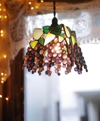 Ampelopsis pendantlight