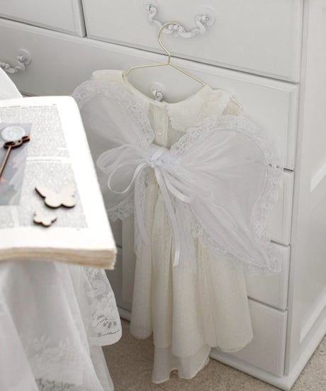 angel wing