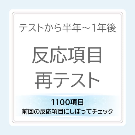 1,100項目：再テスト