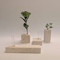琉球石灰岩の一輪挿し｜module