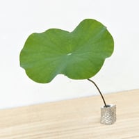 純錫一輪挿し　ヒルギ｜金細工まつ