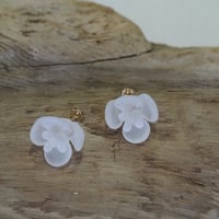 HARIO Lampwork Factory／ツバキ　ピアス