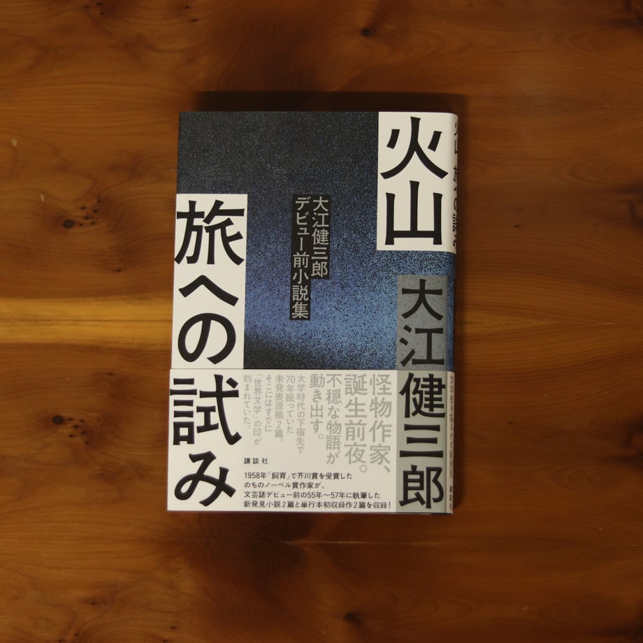 6a8a94766cfe53285a07df40