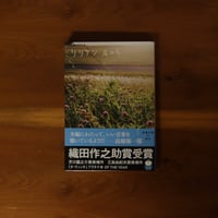 リリアン｜岸政彦