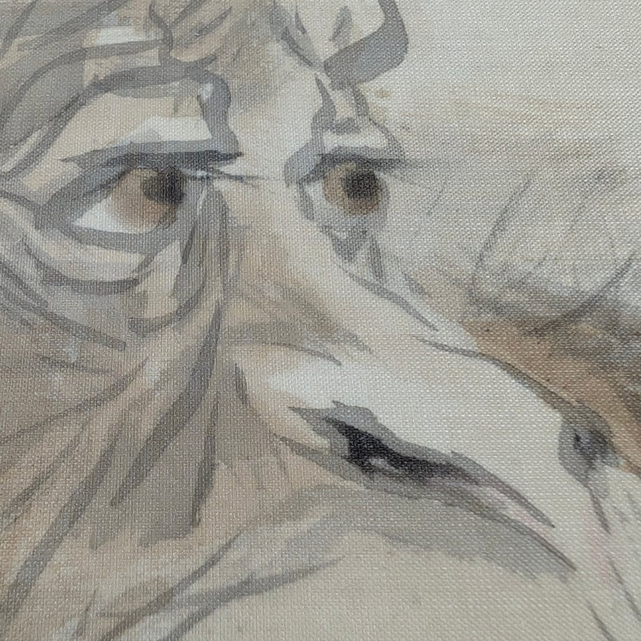 6a97b783c52ca953f3ff5e60
