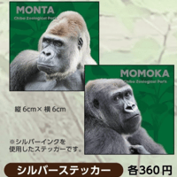 世界ゴリラの日2026　シルバーステッカー