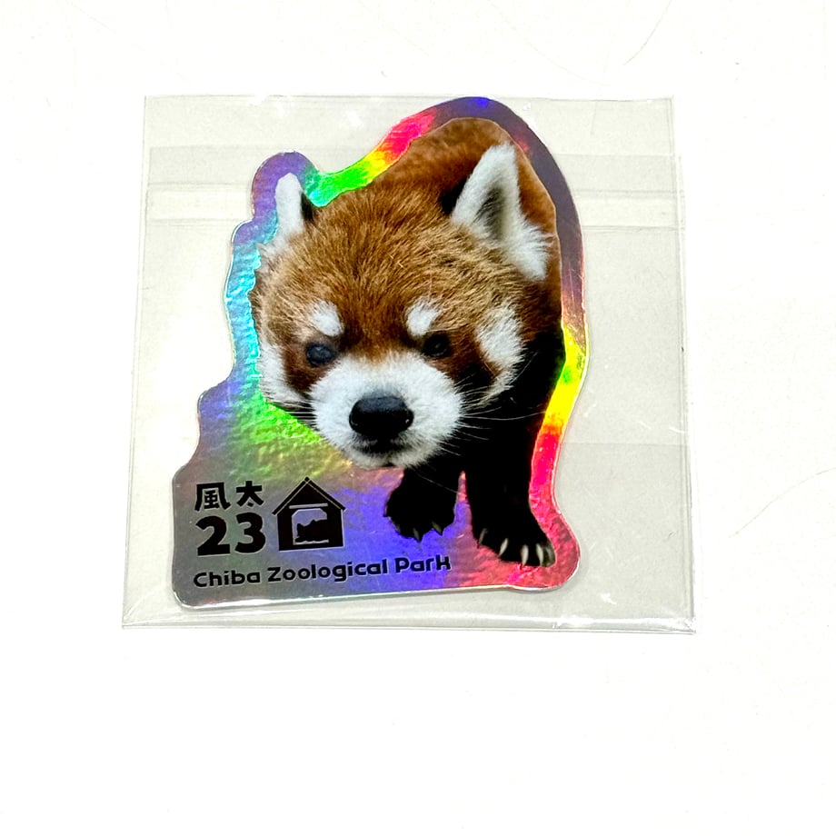 6a4ca167233fa8181cc5b207