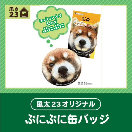 🍠風太23オリジナル🍠　ぷにぷに缶バッジ