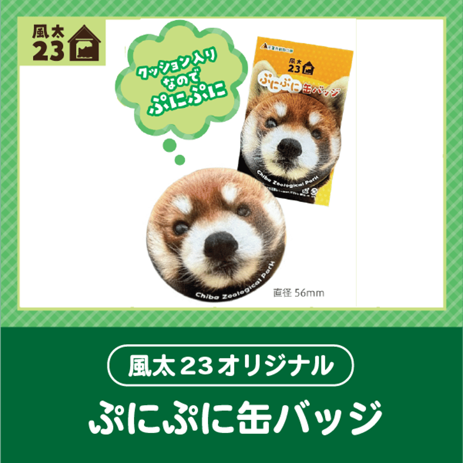 6a4b06734b7d3916c56e4ad0