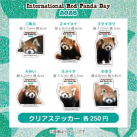 国際レッサーパンダデー2026　クリアステッカー　全６種類
