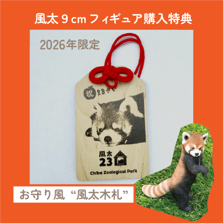 ㊗23さい🍠数量限定特典付き！レッサーパンダフィギュア（9㎝）風太モデル