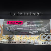 ダウズスイマー∞240BIB ヘッドショット