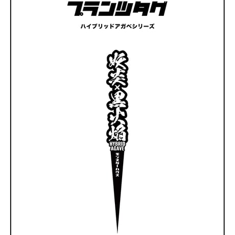 【ハイブリッドアガベ 品種 プランツタグ 黒】妖炎×黒火焔