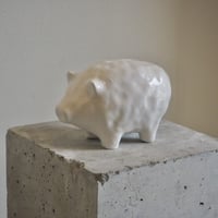 SHOKKI  ぶたの貯金箱