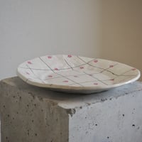 SHOKKI  お皿
