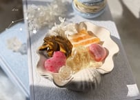 【獅子座】 星座のバースデーストーンセット
