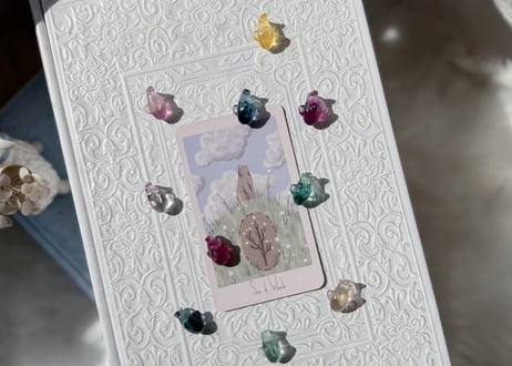 【成功を切り開く】 フローライトのサメ
