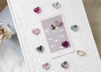 【才能を大きく開花】 フローライトのアンモナイト