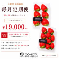 毎月定期便