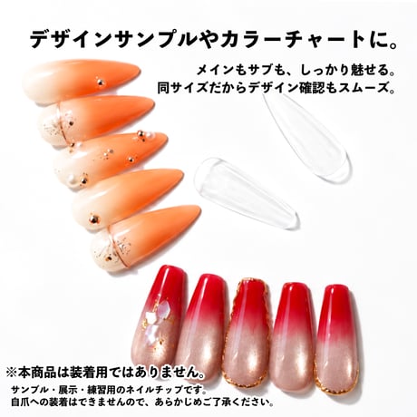 ワンサイズ サンプルチップ 240ピース