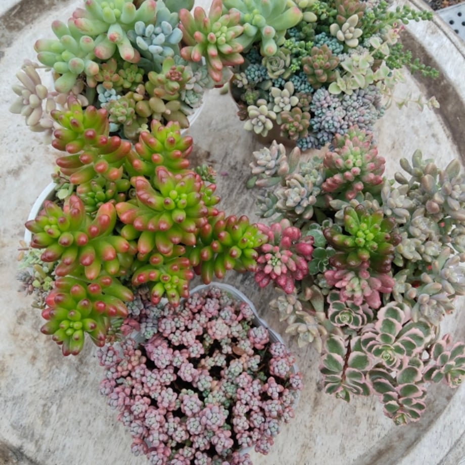 6abb6ff1e2fceca6b0b59c8c