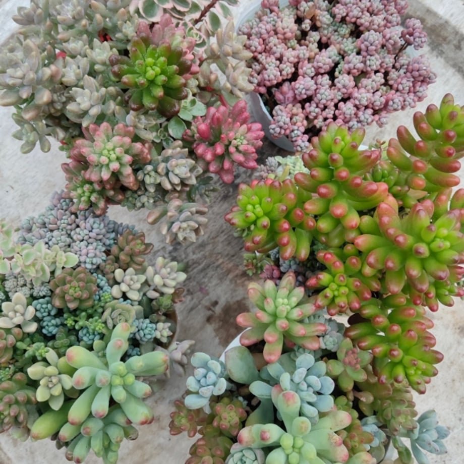 6abb6ff1e2fceca6b0b59c8c