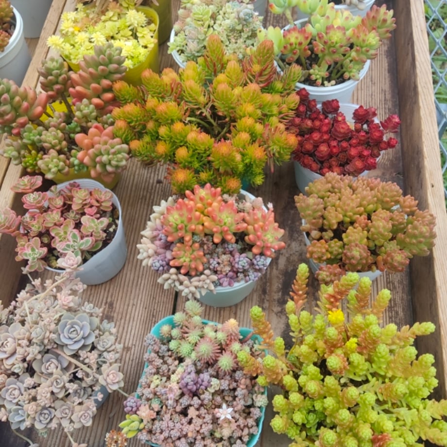 69be28526d097bebabc039c0