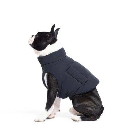 犬の服 | STORES