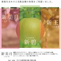 【お取り寄せご自宅用】にいがた和梨3種食べ比べ定期便