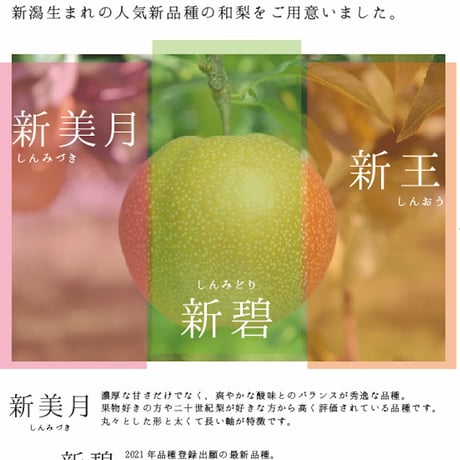 【お取り寄せご自宅用】にいがた和梨3種食べ比べ定期便