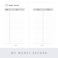 Micro5 money record