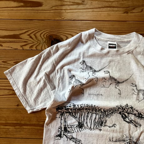 dinosaur valley state park souvenir tee