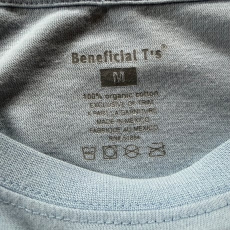patagonia beneficial t's fitz roy mountains logo tee
