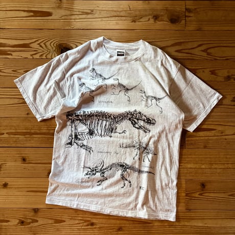 dinosaur valley state park souvenir tee