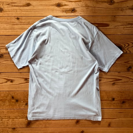 patagonia beneficial t's fitz roy mountains logo tee
