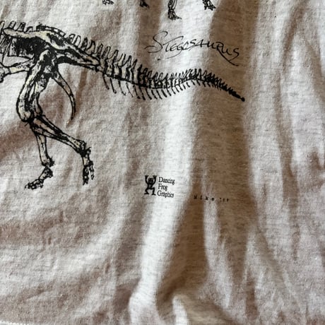 dinosaur valley state park souvenir tee