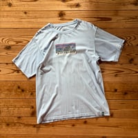 patagonia beneficial t's fitz roy mountains logo tee