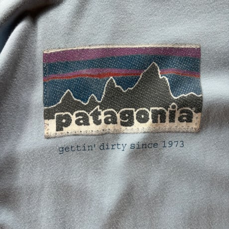patagonia beneficial t's fitz roy mountains logo tee