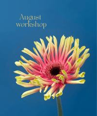 ＜8/22・23開催＞ Summer Bouquet Workshop