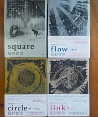星野智幸コレクション 全4巻　人文書院　2016年