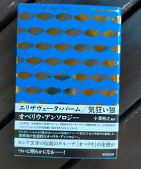 エリザヴェータ・バーム／気狂い狼　オベリウ・アンソロジー　小澤裕之（編訳）　書肆侃侃房　2025年