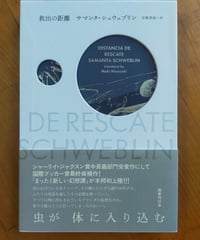 救出の距離　サマンタ・シュウェブリン　宮﨑真紀（訳）　国書刊行会　2024年