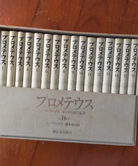 プロメテウス 小説 マルクス エンゲルスの生涯 全16巻　ガリーナ・セレブリャコワ　西本昭治（訳）　新日本出版社　1985年特装版