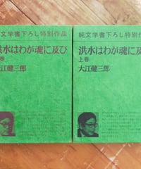 洪水はわが魂に及び 全2巻　大江健三郎　新潮社　付録冊子付き　1973年