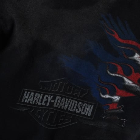 Harley Davidson Printed Tee (XL USA Good Sunfade)