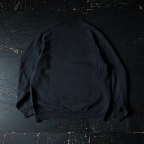 Screen StarsPrinted Raglan Sweat (90s XL Good Design!)