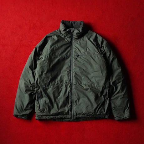 Patagonia Stealth Downer Jacket "Seagrass" (06s M)